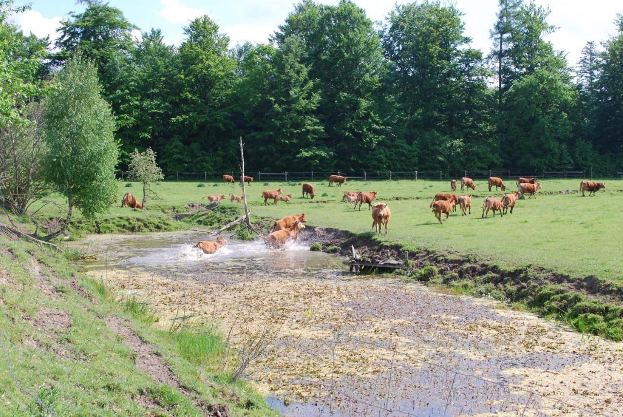Ignatowka Darłowo